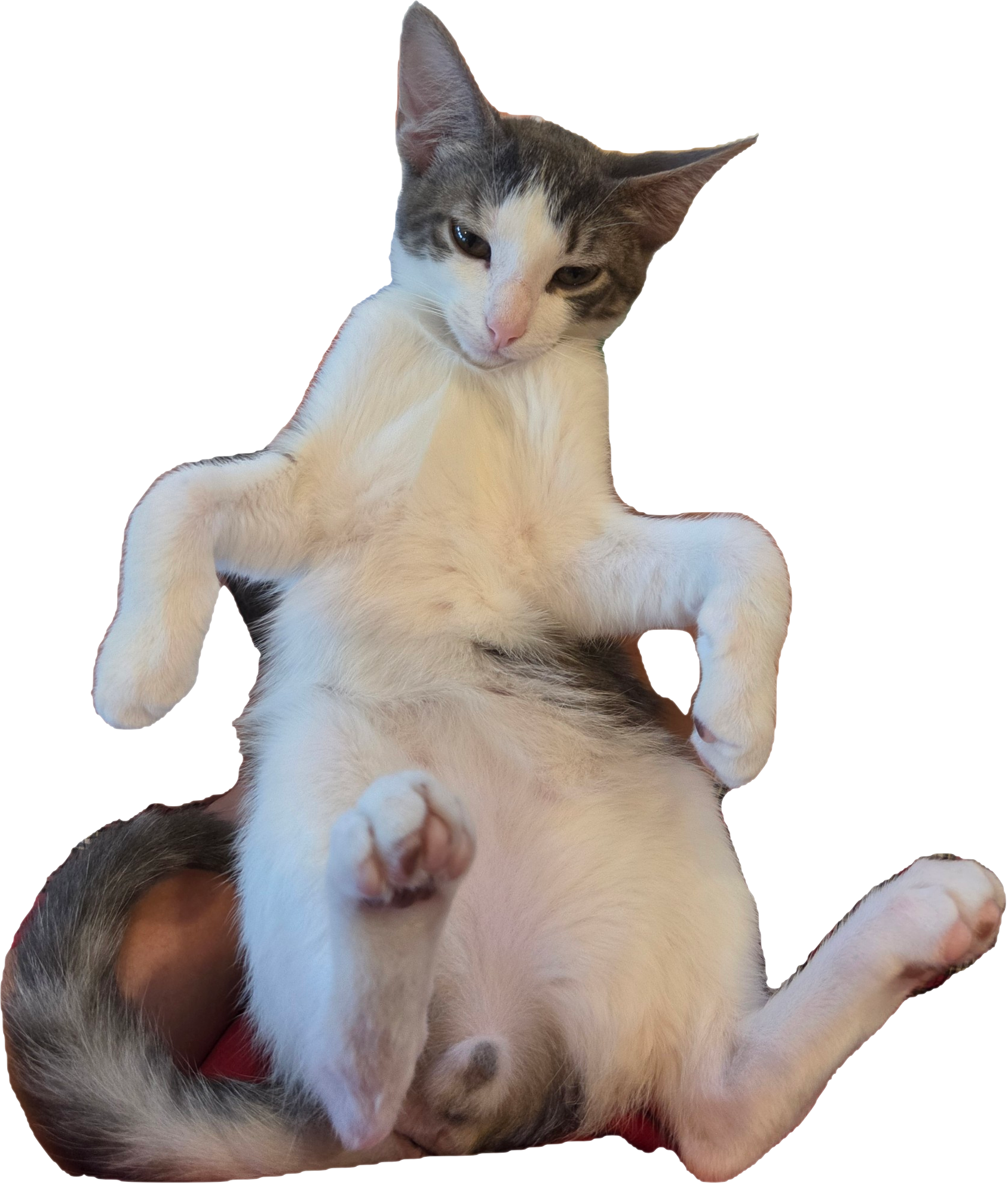 Lamar reclining